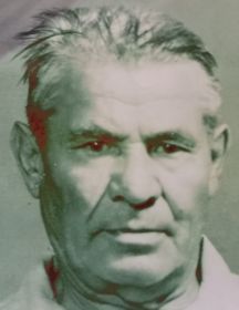 Волков Василий Мартынович