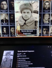 Орлов Дмитрий Андреевич