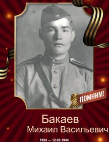 Бакаев Михаил Васильевич