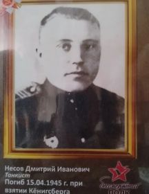 Несов Дмитрий Иванович
