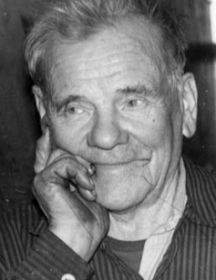 Бибиков Николай Николаевич