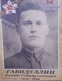 Габидуллин Хамат Хамидулинович