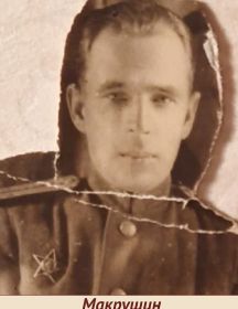 Макрушин Николай Семенович