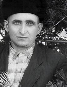 Вишняк Владимир Давидович