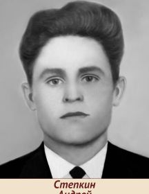 Степкин Андрей Дмитриевич
