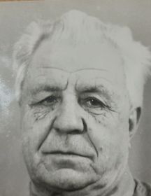 Австрийский Анатолий Васильевич