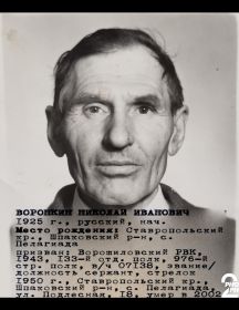 Воронкин Николай Иванович