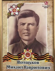 Волшуков Михаил Гаврилович