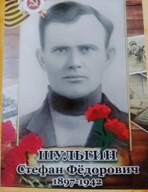 Шульгин Стефан Федорович