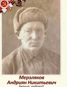 Мерзляков Андриян Никитьевич