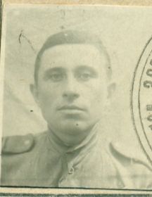 Трубицин Дмитрий Данилович