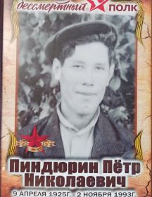 Пиндюрин Петр Николаевич