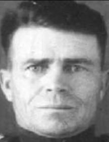 Веснин Михаил Иванович