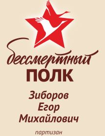 Зиборов Егор Михайлович