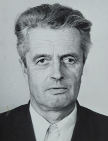 Никулин Василий Иванович