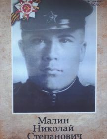 Малин Николай Степанович