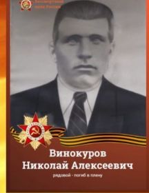 Винокуров Николай Алексеевич