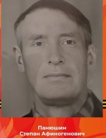 Панюшин Степан Афиногенович