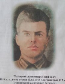 Полоцкий Александр Иосифович