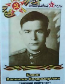 Бавин Валентин Владимирович