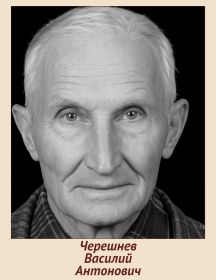 Черешнев Василий Антонович