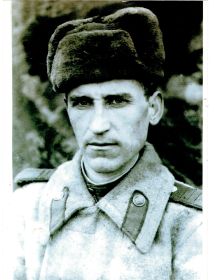 Денисов Николай Ионович
