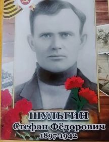 Шульгин Степан Федорович