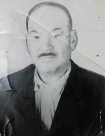 Никулин Дмитрий Федорович