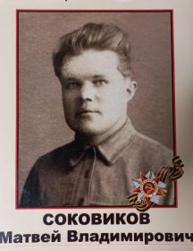 Соковиков Матвей Владимирович