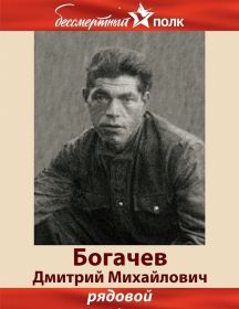 Богачев Дмитрий Михайлович