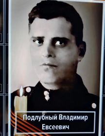 Подлубный Владимир Евсеевич