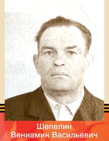 Шепелин Вениамин Васильевич