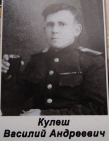 Кулеш Василий Андреевич