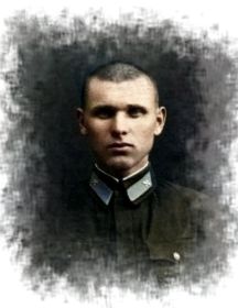 Добровольский Дмитрий Давыдович