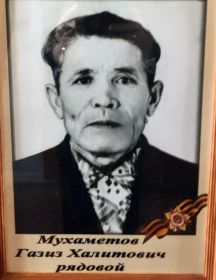 Мухаметов Газиз Халитович