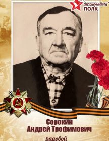 Сорокин Андрей Трофимович