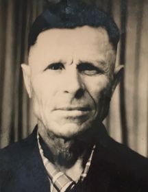 Янпольский Николай Григорьевич