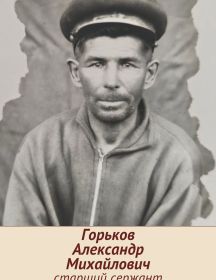 Горьков Александр Михайлович