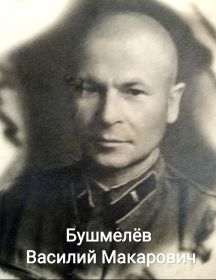 Бушмелёв Василий Макарович