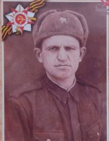 Полев Василий Трафимович
