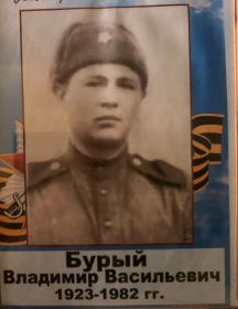 Бурый Владимир Васильевич