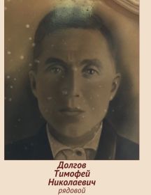 Долгов Тимофей Николаевич