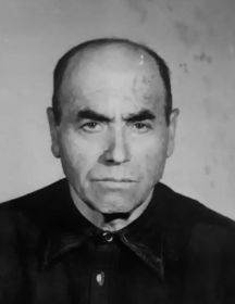 Петросян Анушаван Шагенович