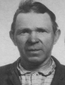 Манин Ефим Гаврилович