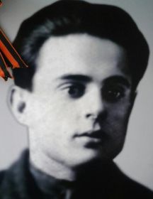 Беркун Дмитрий Иванович