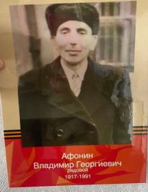 Афонин Владимир Георгиевич