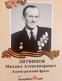 Литвинов Михаил Александрович