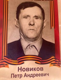 Новиков Петр Андреевич