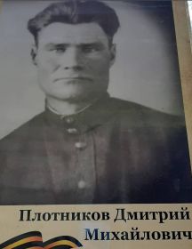 Плотников Дмитрий Михайлович