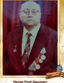 Мецлер Юрий Давыдович
